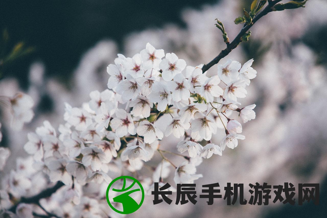 (三生三世十里桃花58集全集)三生三世十里桃花免费观看，与你相伴的浪漫神话故事