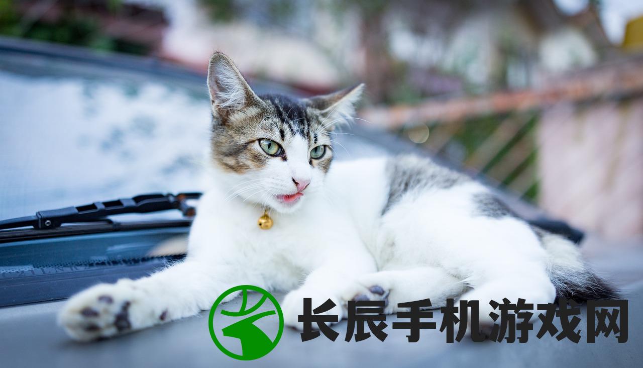 (《遇见你的猫》官网)遇见你的猫官方版：探索与猫相遇的奇妙世界